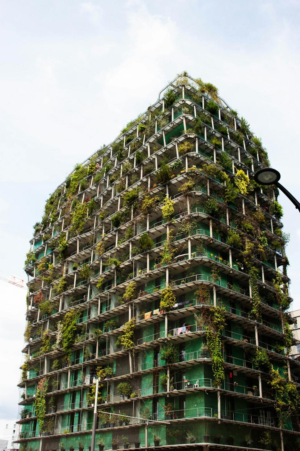 Eco-Modern Family Home