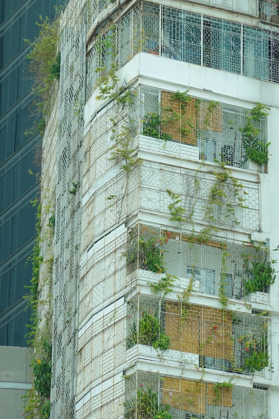 Green Living Renovation